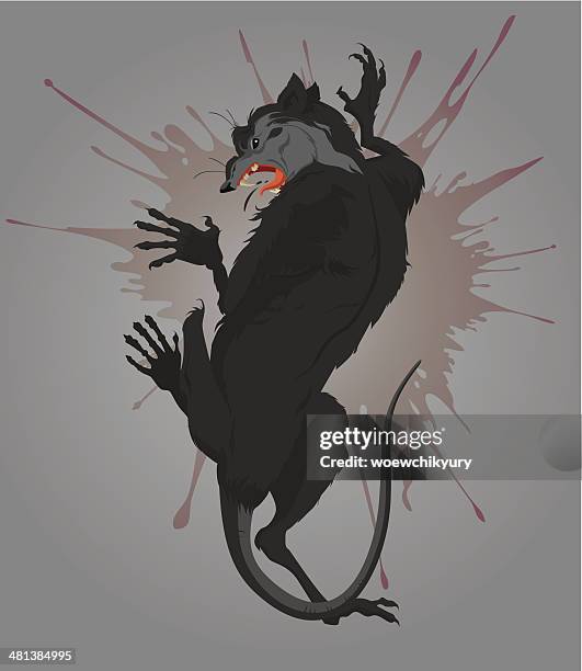 Scariest Rats 340 Scary Rats Stock Photos, High-Res Pictures, and Images - Getty Images