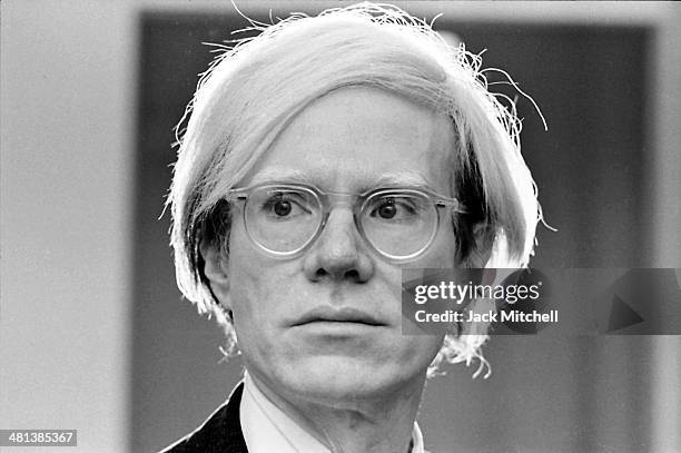 Andy Warhol photographed in 1973.