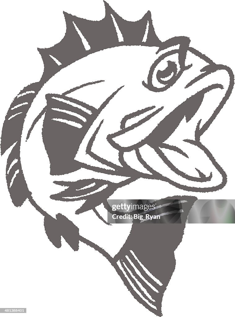 Sketched bass