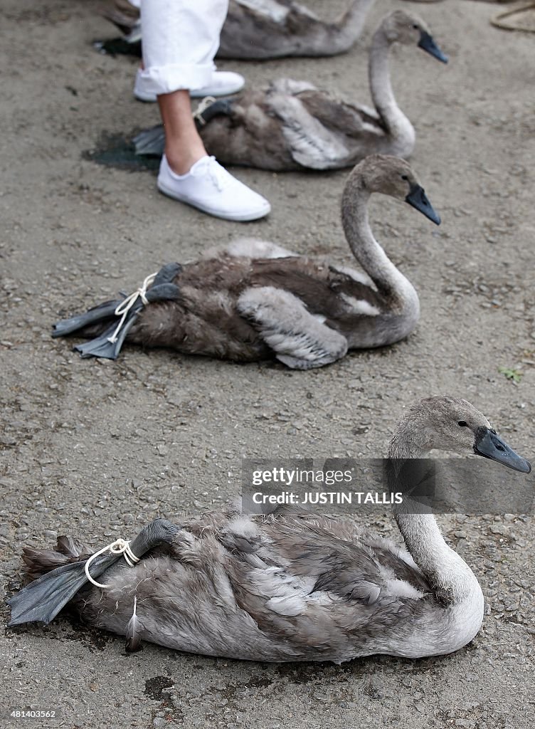 BRITAIN-ANIMALS-OFFBEAT