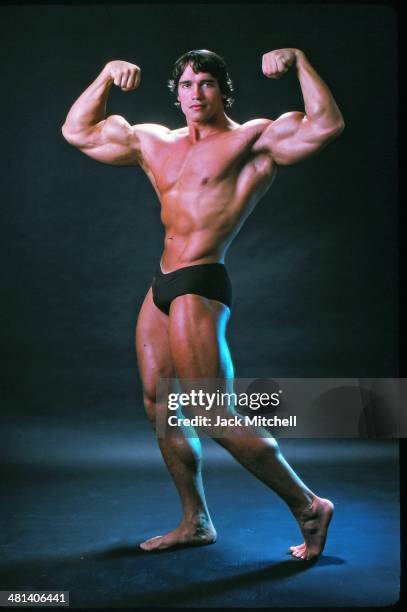 31 927点のアーノルド シュワルツェネッガーのストックフォト Getty Images 31 927点のアーノルド シュワルツェネッガーのストックフォト Getty Images