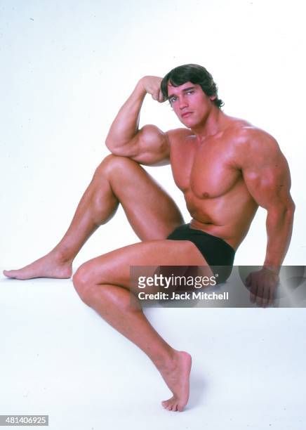 Professional bodybuilder Arnold Schwarzenegger posing at the top of his form in October 1976.