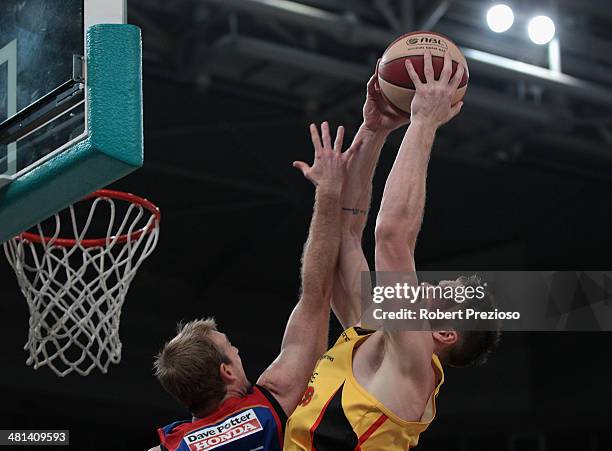 Lucas Walker of the Tigers makes a rebound during game two of the NBL Semi Final series between the Melbourne Tigers and the Adelaide 36ers at...