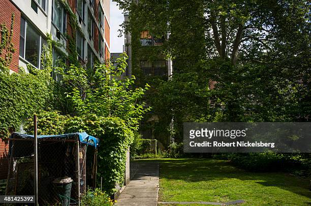 Small park is maintained but unused across from the Long Island College Hospital campus June 19, 2015 in the Brooklyn borough of New York. The Fortis...