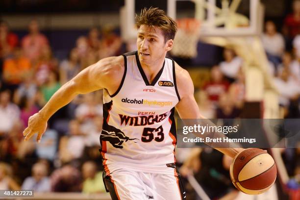 Damian Martin of the Wildcats controls the ball during game two of the NBL Finals Series between the Wollongong Hawks and the Perth Wildcats at WIN...