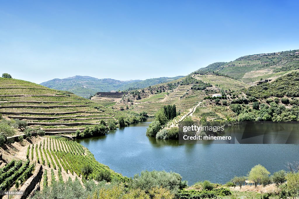 Terraced vineyards in Douro Valley