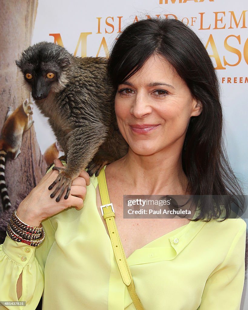 "Island Of Lemurs: Madagascar" - Los Angeles Premiere