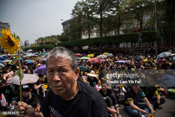 Man holds a flower as protesters rally called by the student groups occupying the Legislature Yuan on March 30, 2014 in Taipei, Taiwan. Taiwanese...