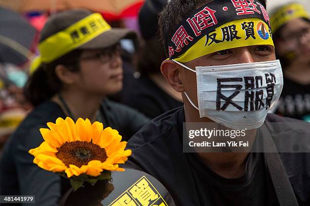 Ten of thousand protesters attend the rally called by the student groups occupying the Legislature Yuan on March 30, 2014 in Taipei, Taiwan....