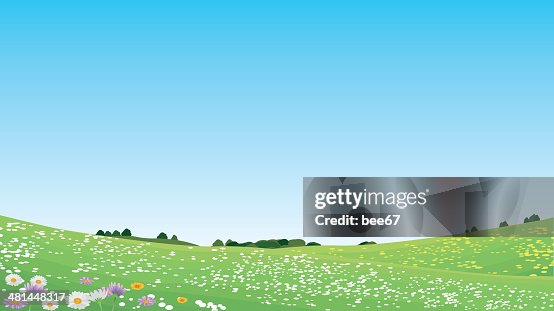 Meadow Meadow