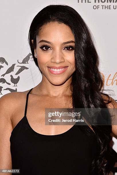 Bianca Lawson attends the Humane Society of the United States 60th Anniversary Benefit Gala at The Beverly Hilton Hotel on March 29, 2014 in Beverly...