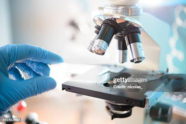 microscope - microscoop stockfoto's en -beelden