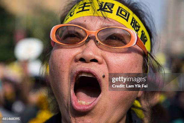 Protester shouts slogans as over two hundred thousand people rally on March 30, 2014 in Taipei, Taiwan. Taiwanese student protesters opposing the...