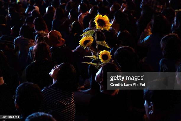 Protester holds a sun flower as over two hundred thousand people rally on March 30, 2014 in Taipei, Taiwan. Taiwanese student protesters opposing the...