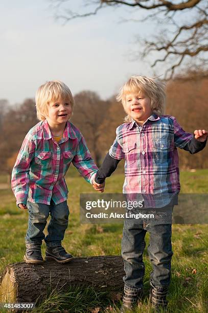 identical twin 3 year old boys playing - alex boys stockfoto's en -beelden