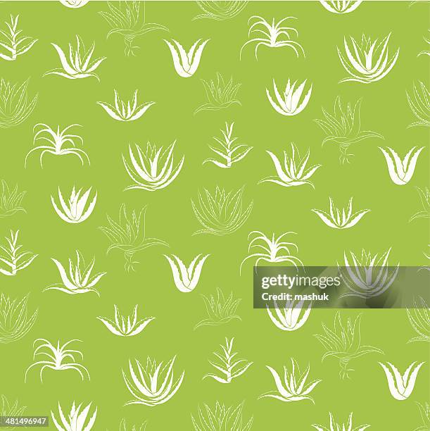 aloe seamless pattern - aloe stock illustrations
