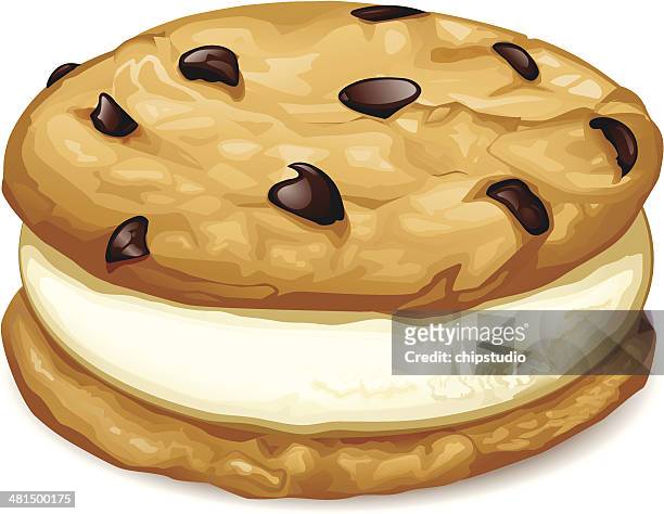 309 Chocolate Chip Cookie High Res Illustrations - Getty Images