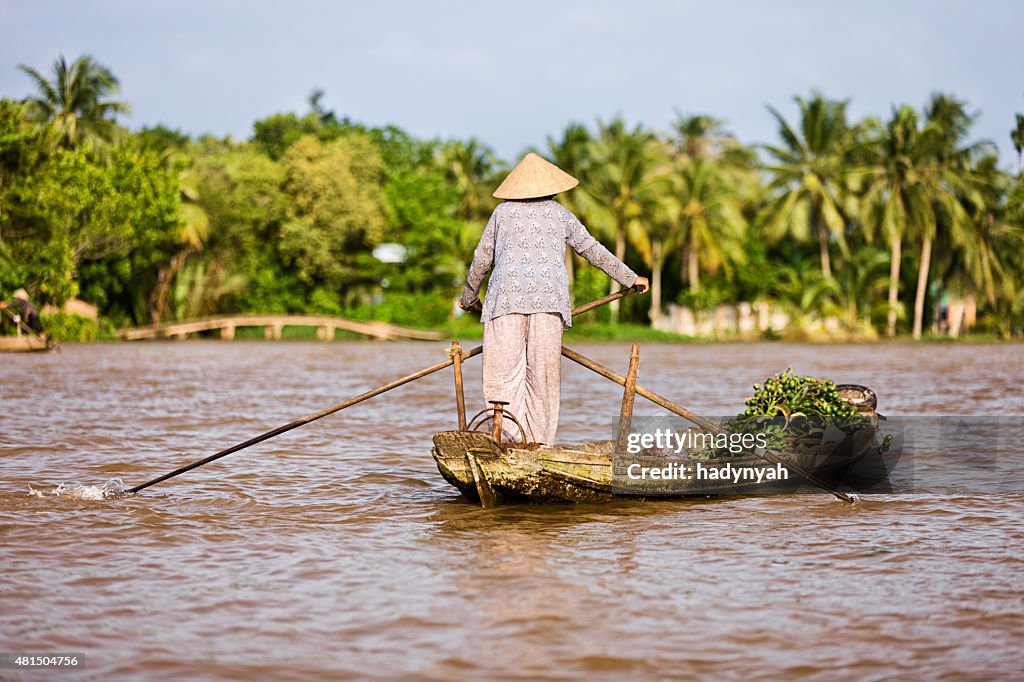 Vietnamese woman rowing  boat in the Mekong River Delta, Vietnam