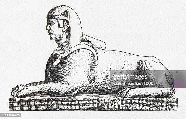 ilustraciones, imágenes clip art, dibujos animados e iconos de stock de blanco y negro de la esfinge de grabado - the sphinx