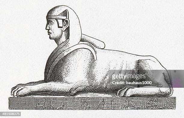 black and white engraving of sphinx - the sphinx stock illustrations