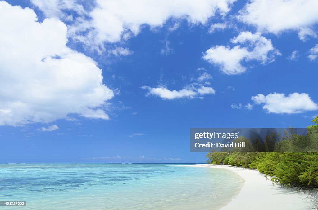 Tropical South Pacific Island beach