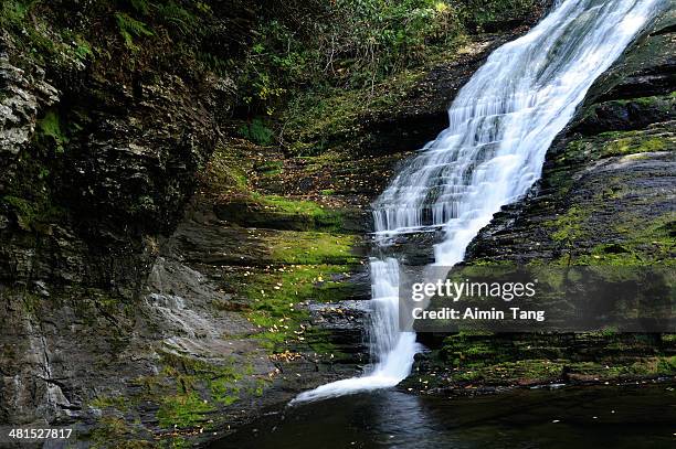 dingmans fall - delaware water gap national recreation area stock pictures, royalty-free photos & images