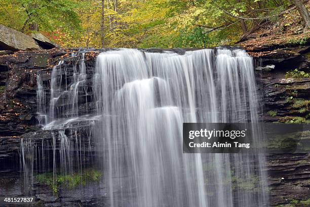 waterfalls at ricketts glen state park - ricketts glen state park stock pictures, royalty-free photos & images