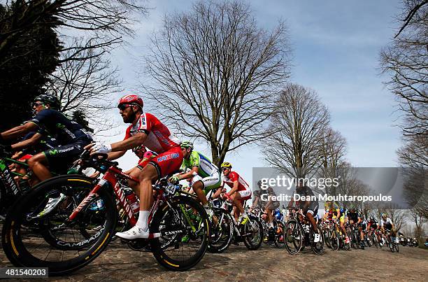 General view of the peloton with Luca Paolini of Italy during the Gent-Wevelgem Cycle Race on March 30, 2014 in Gent, Belgium.