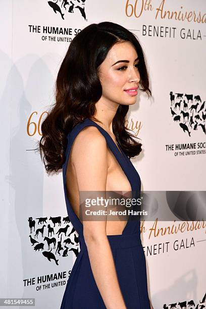 Christian Serratos attends the Humane Society of the United States 60th Anniversary Benefit Gala at The Beverly Hilton Hotel on March 29, 2014 in...