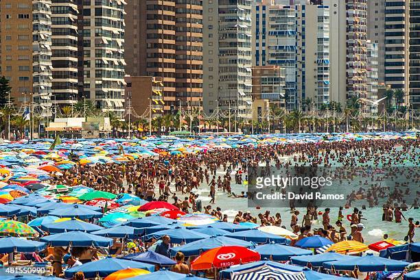 People sunbathe at Levante Beach on July 22, 2015 in Benidorm, Spain. Spain has set a new record for visitors, with 29.2 million visitors in June,...
