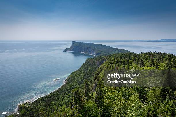 view of cap bon ami, forillon, quebec, canada - forillon national park stock pictures, royalty-free photos & images