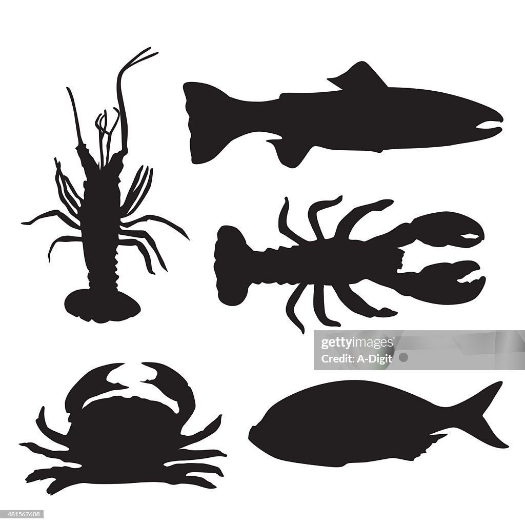 Seafood