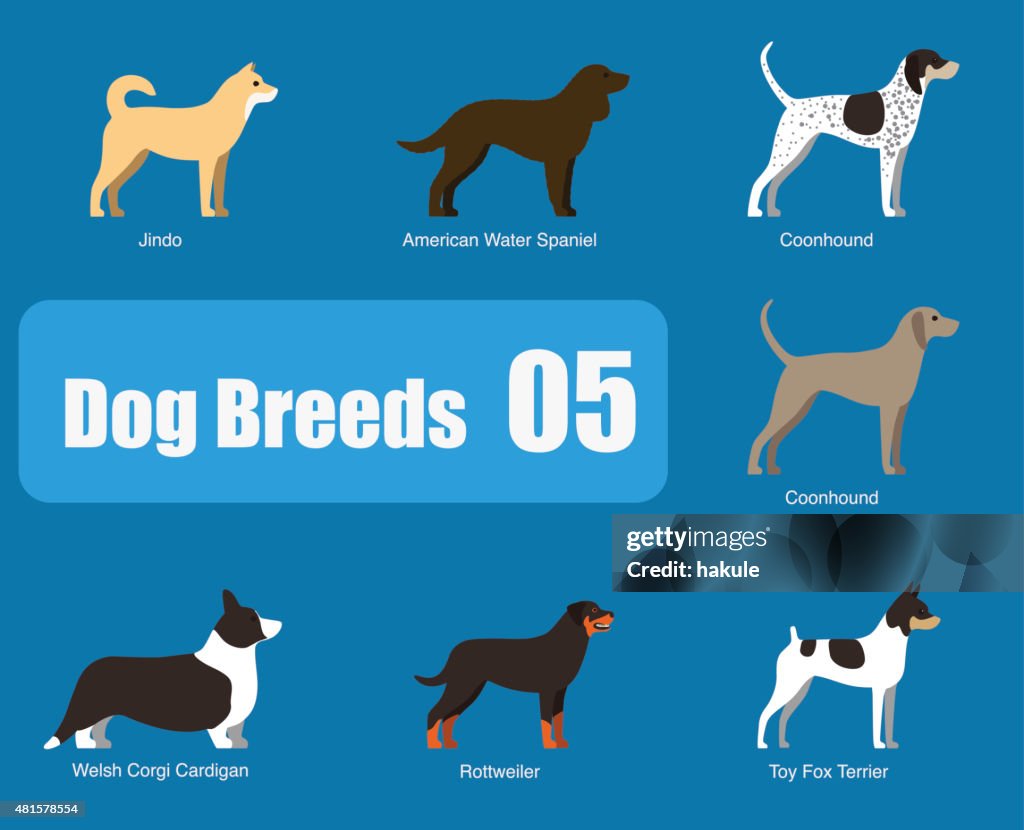 Breeds of dog standing side, vector