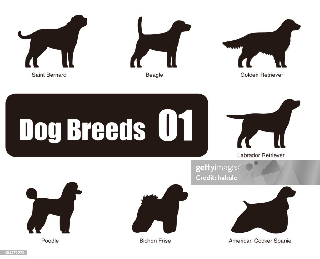 Set of dog breeds, black and white, side view, vector