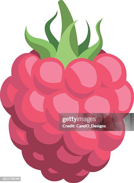 stockillustraties, clipart, cartoons en iconen met raspberry cartoon - framboos