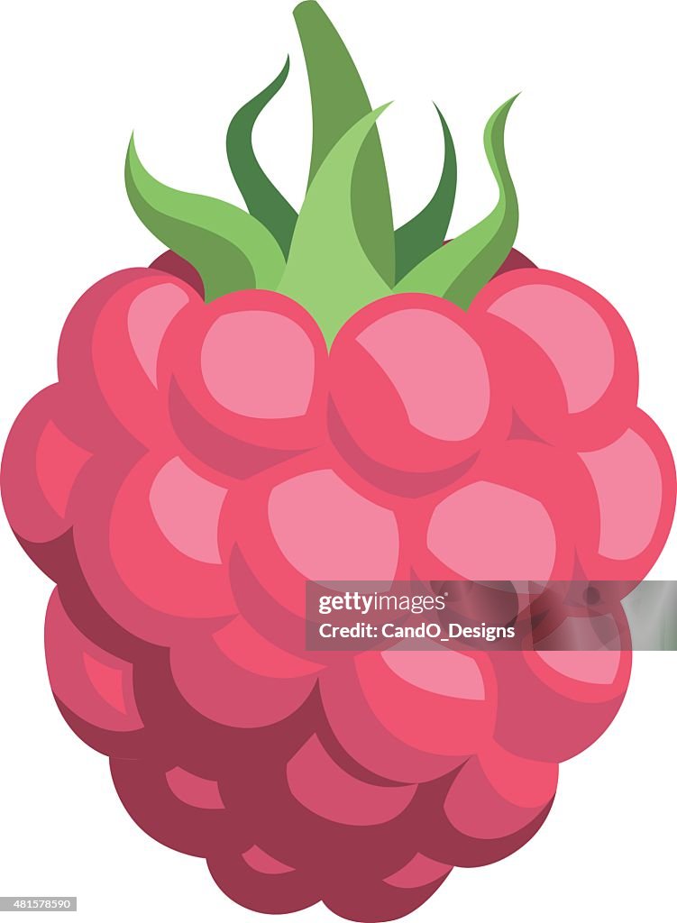 Raspberry Cartoon High-Res Vector Graphic - Getty Images