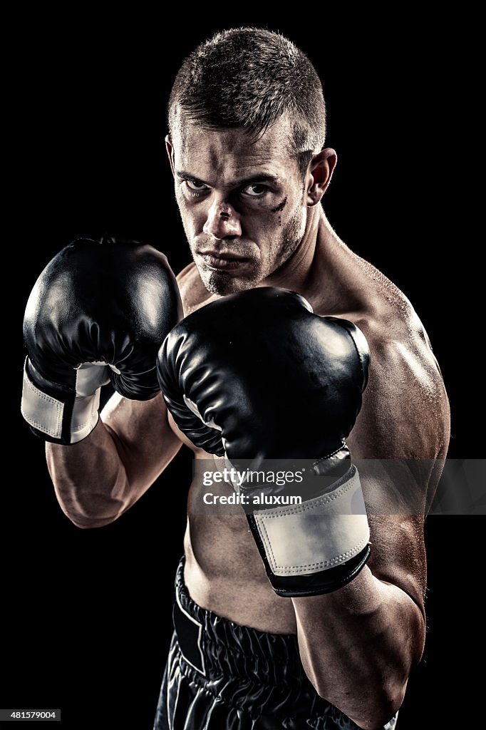 Boxer Isolated On Black High-Res Stock Photo - Getty Images