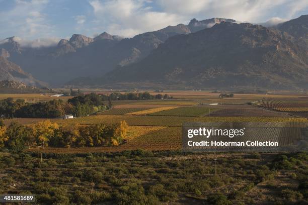 Autumn Coloured Winelands and Vineyards with Mountain Views and Sky in the Hex River Valley Near De Doorns and Worcester in the Western Cape Provence...