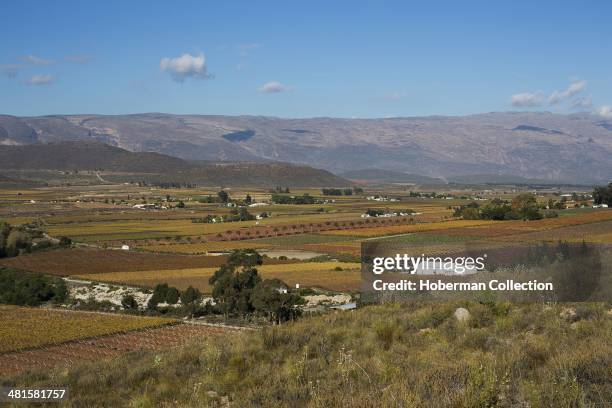 Autumn Coloured Winelands and Vineyards with Mountain Views and Sky in the Hex River Valley Near De Doorns and Worcester in the Western Cape Provence...