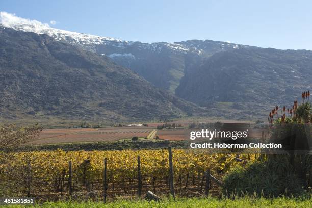 Snow On The Matroosberg Mountains With Vineyards In The Hex River Valley