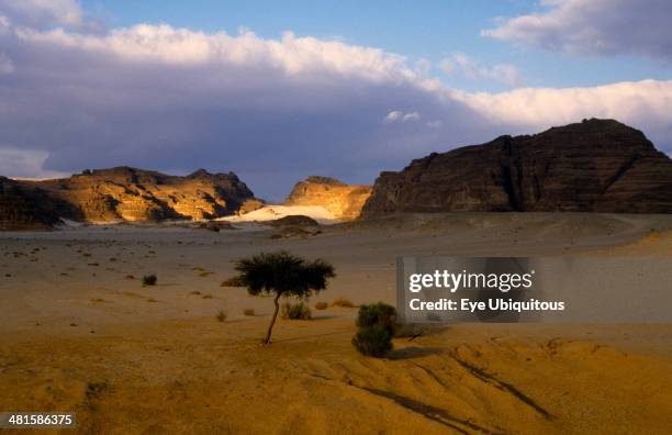 Egypt, Sinai Desert, St Catherine s Monastery., View over desert landscape from the Nuweiba Road towards the monastery in the distance.
