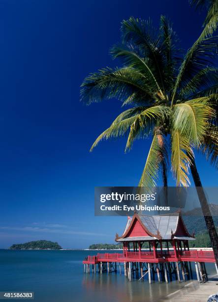 Malaysia, Kedah, Langkawi, Pantai Kok beach at The Summer Palace with a coconut palm tree hanging out over the water.