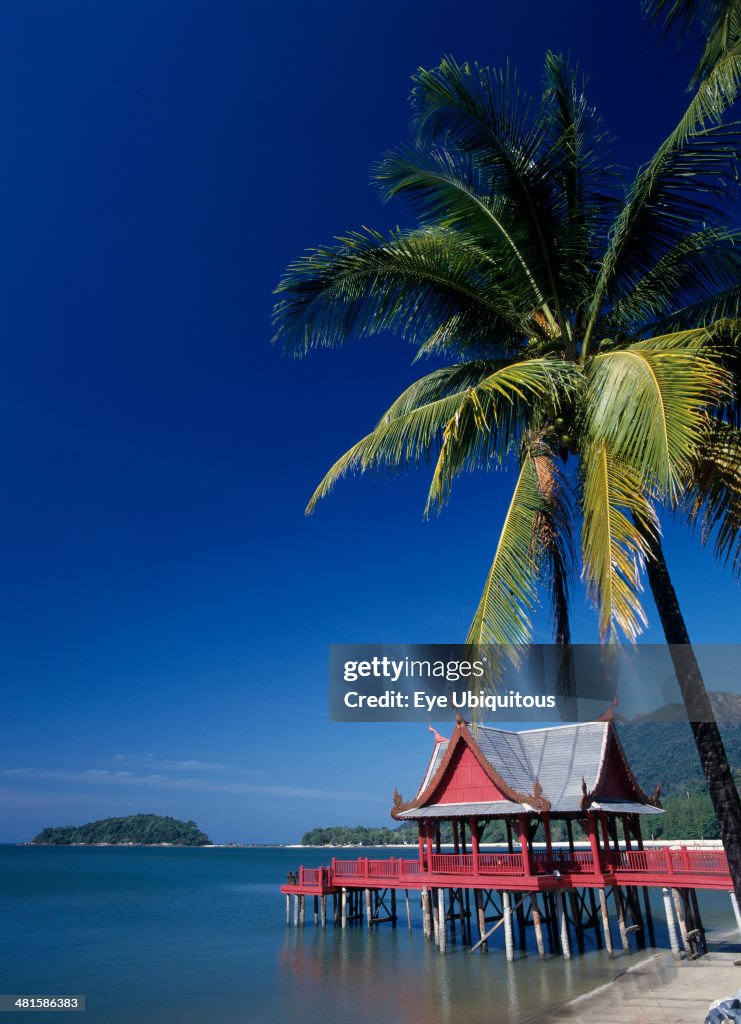 Pantai Kok beach at The Summer Palace with a coconut palm tree