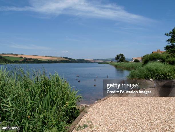 Slapton Ley, Devon, UK.