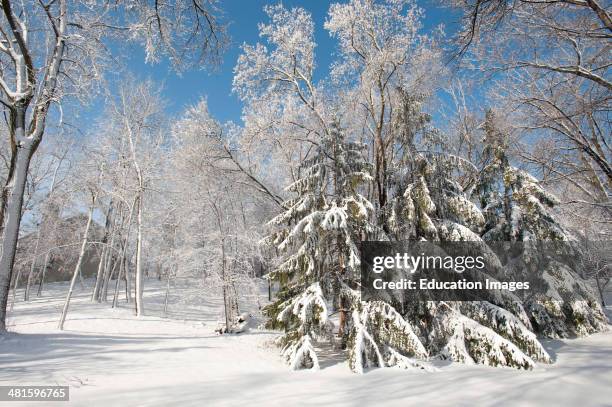 Minnesota Spring Background Minnesota Spring Landscape Photos and Premium High Res Pictures - Getty ...