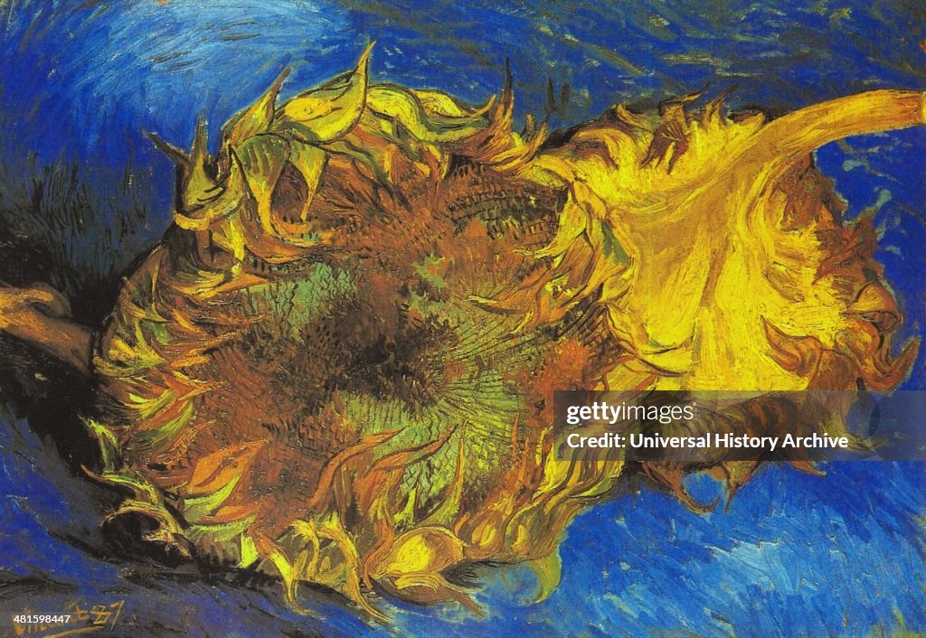 Vincent van Gogh's Sunflowers 1887 A.D.