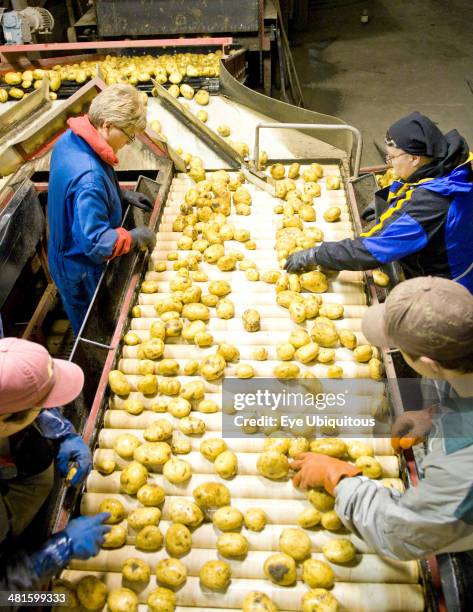 1,048 Chin Alberta Stock Photos, HighRes Pictures, and Images Getty