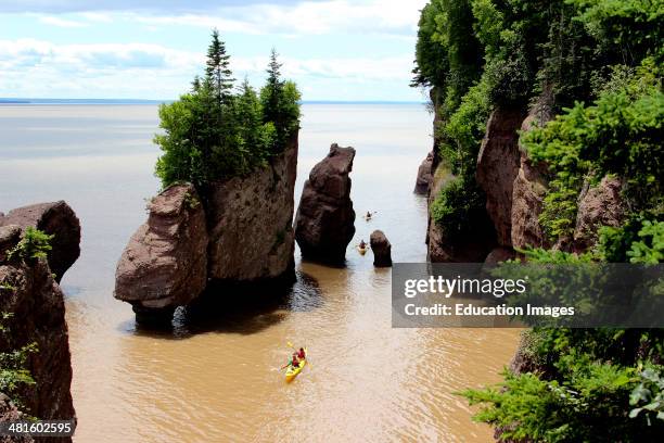 Canada New Brunswick Atlantic Coast Bay of Fundy Chocolate River Hopewell Rocks.