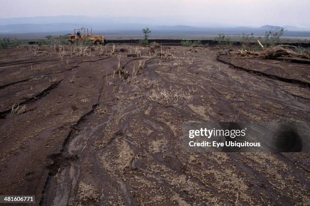 Overgraze Soil Erosion By Overgrazing