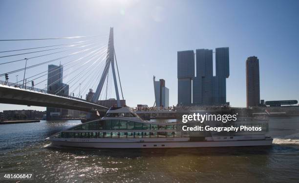 Erasmus Bridge, Erasmusbrug, spanning the River Maas designed by architect Ben van Berkel completed 1996, 800 meter span linking north and south...
